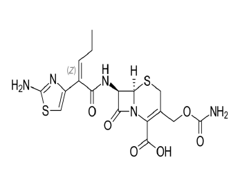 CEFCAPENE PIVOXIL– JP