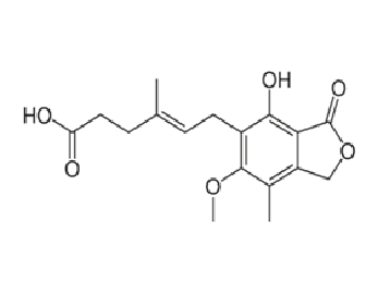 Mycophenolate Mofetil– USP